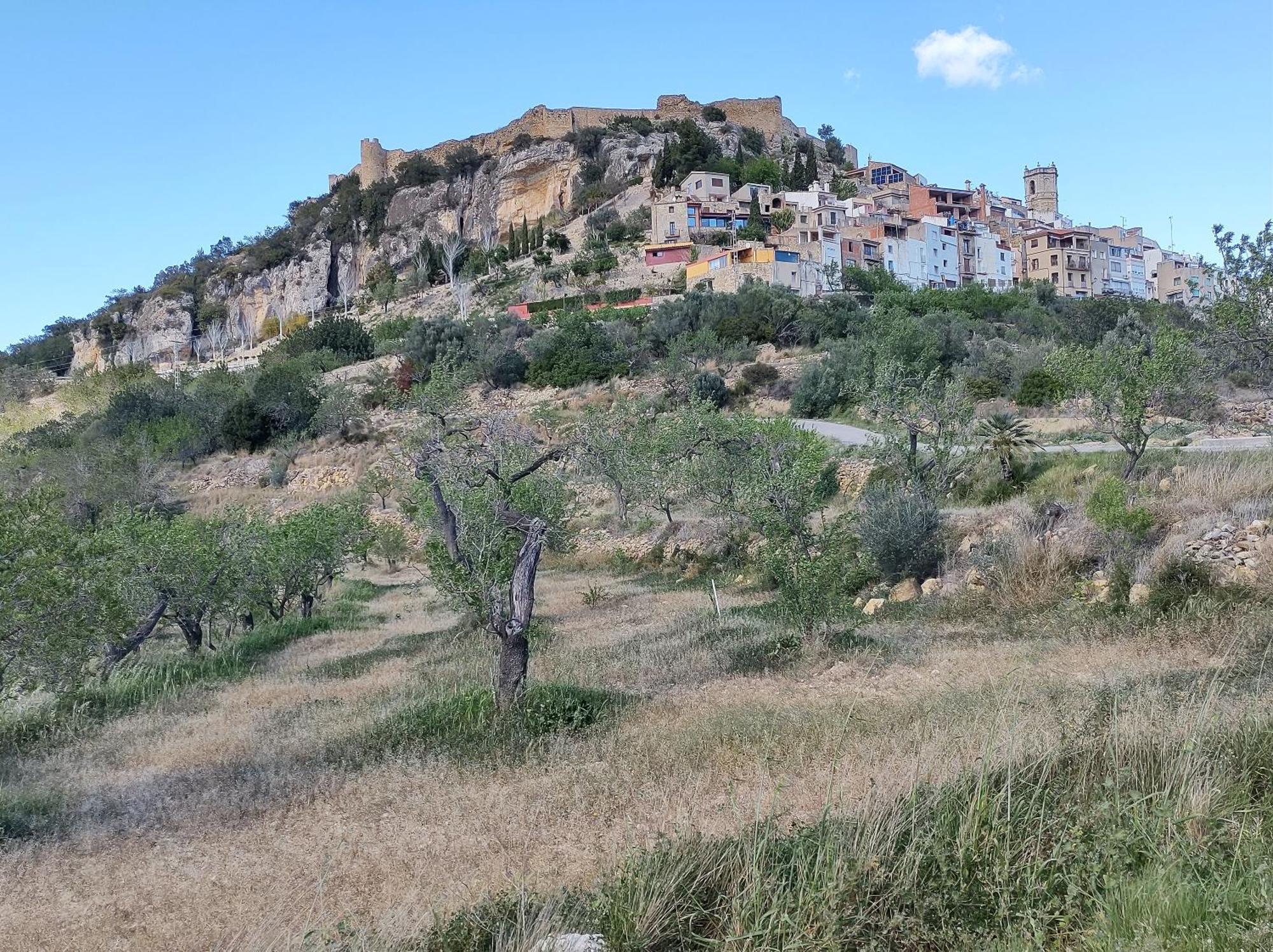 Tranquil And Spacious Townhouse In Historical And Picturesque Cervera Del Maestre Cervera del Maestre Exterior foto